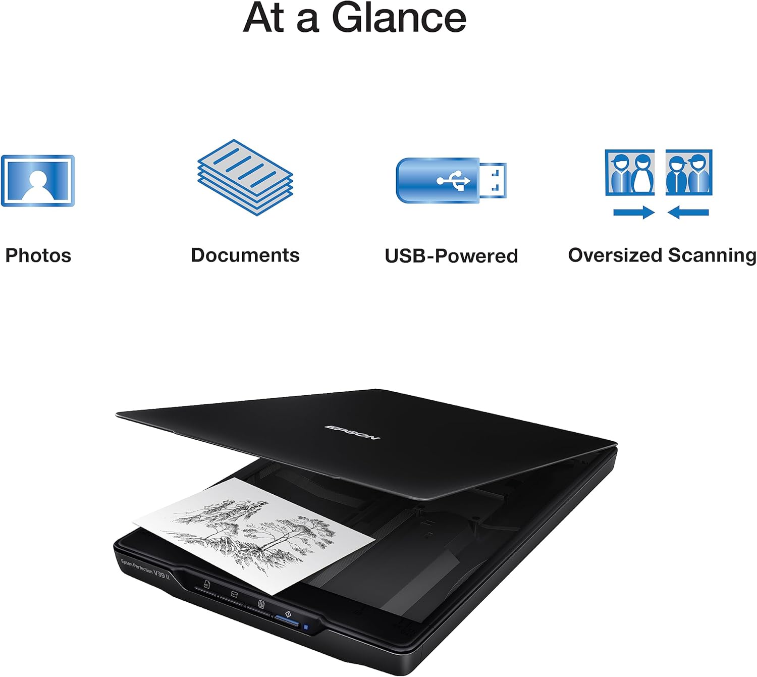 Epson Perfection V39 II